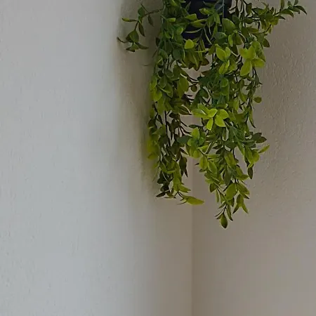 Proche Du Coeur De Et De La Gare Apartament Colmar