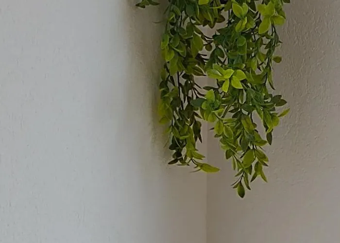 Proche Du Coeur De Et De La Gare Appartamento Colmar